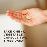 Solgar ester-c plus, vitamin c, 500 mg – podrška imunitetu i brza apsorpcija vitamina c 100 kapsula | ePonuda.com