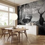  Foto tapeta - Deers in the Morning 500x350 Vodootporna | shoptok.hr