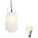 QAZQA Smart buiten hanglamp wit 20cm incl. Wifi A60 - Pion | Shoptok.si