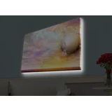 Zidna slika sa LED osvetljenjem 4570HDACT-041, 45x70 cm