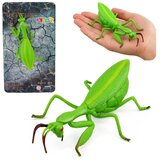 Gumena figura bogomoljke, rastezljiva, realistična, zelena, 18 cm | shoptok.hr