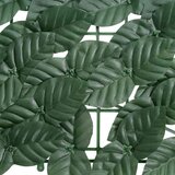 Balkonski zastor s tamnozelenim lišćem 300 x 100 cm | Eponuda.com