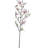  Umjetni cvijet Magnolija (Visina: 75 cm, Roze boje, Plastika) Cijene