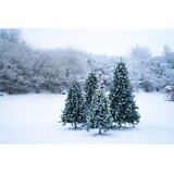 Sirius Umetna jelka višina 180 cm Anton LED – | Shoptok.si