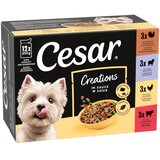 Cesar Selektion meso i povrće u umaku - 12 x 100 g Cijene