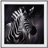 PT LIVING Slika 50x50 cm Zebra –