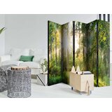  Paravan u 5 dijelova - Untamed Nature II [Room Dividers] 225x172 | shoptok.hr
