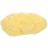 Koutouzis Natural Sea Sponges naravna spužva "silk" - ca. 5 cm Cene