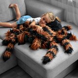  Plišana igračka Tarantula, 50 x 85 x 30 cm | Eponuda.com
