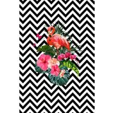 Conceptum Hypnose tepih (80 x 120) HMNT480 | ePonuda.com