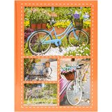  Foto album Bike 2, 200 slik | Shoptok.si