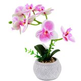 Dekordom Cvet orchid fh2637 - n13 ( 025159 ) Cene