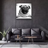 WALLXPERT Kgls_1043 - Višenamenska Tempered Staklena Slika 60 x 60 cm | Eponuda.com