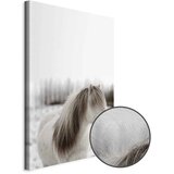  Slika - Horse Mane (1 Part) Vertical 40x60 Premium Print | shoptok.hr