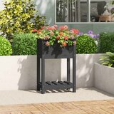 Maison Chic Visoka greda - Greda - Cvetlični Lonec s polico siva 54x34,5x81 cm trdna borovina, (21788618) | Shoptok.si