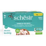  Ekonomično pakiranje Schesir Complete Nutrition fileti u želeu 24 x 50 g - Tuna s oradom | shoptok.hr