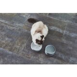 MiaCara Porculanska zdjela za hranu za ljubimce za mačke ø 14 cm Fresco Concrete S – | shoptok.hr