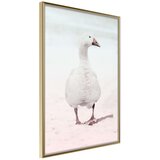  Poster - Walking Goose 40x60 Cijene