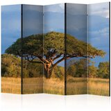  Paravan u 5 dijelova - African acacia tree Hwange National Park Zimbabwe II [Room Dividers] 225x172 | shoptok.hr