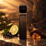Paris Hilton Gold Rush Nightfall toaletna voda za muškarce 100 ml | shoptok.hr