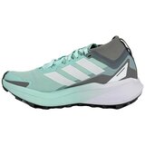 Adidas Nizke superge Terrex Agravic GTX pisana Cene
