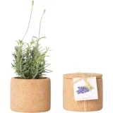Grow Cork "Sivka" - 1 k.