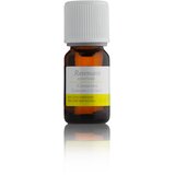  Eterično olje Ravintsara (Cinnamomum camphora ct. Cineol), 10 ml | Shoptok.si
