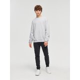 House - Carrot fit traperice - Siva | shoptok.hr