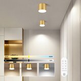  Immax NEO 07317L - LED prigušiva stropno svetlo RONDATE 18W/230V 11,5cm Wi-Fi Tuya zlatna | Eponuda.com