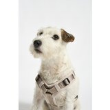 MiaCara Bež uprtač XS dužina 25 cm Modena Greige XS – | shoptok.hr