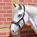 Busse Cavesson uzda ANATOMIX za velikost Full & Cob - črna | Shoptok.si