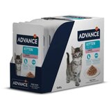 Advance Cat Kitten koščki v omaki, vrečka - puran - 85 g 12 x 85 g Cene