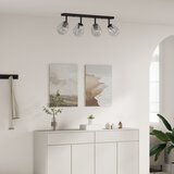 vidaXL Crna, prozirna Metal, Staklo Jedna veličina Stropna rasvjeta | shoptok.hr