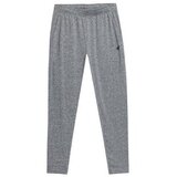 4f Hlače Treningowe Męskie Szare Siva Cene