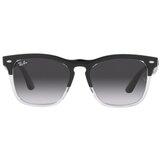 Ray-ban steve naočare za sunce rb 4487 6630/8G | ePonuda.com