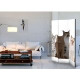  Paravan u 3 dijela - Sweet Cats [Room Dividers] 135x172 | shoptok.hr