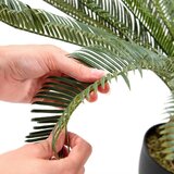 MID.YOU Umetna Rastlina Cycas | Shoptok.si