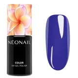 Gel Lak za nokte NeoNail Hybrid 7,2 ml – Bold Horizon