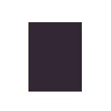 Inebrya Bionic Color boja za kosu svi tipovi kose 100 ml unisex | shoptok.hr