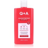 Q+A Colour Protect šampon za zaštitu obojene kose 250 ml Cijene