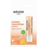 Weleda everon balzam za usne, 4,8g Cene