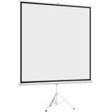 Cabletech projekcijsko platno za stajanje 200x200cm 100" Cijene
