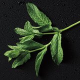 Polo Ralph Lauren Polo Red Rush toaletna voda za moške 40 ml | Shoptok.si