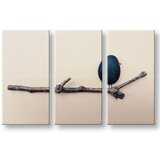  Slike na platnu inspiracija | ePonuda.com