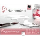  Akvarelni papir Hahnemühle Expression | Različne velikosti | Različne velikosti | Shoptok.si