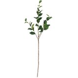 Bloomingville Umjetni eukaliptus (visina 110 cm) Eucalyptus – Cijene