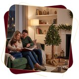  CT0272 ŠKOTSKI BOR NA DEBLJU 160 CM | shoptok.hr