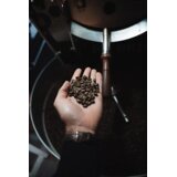 Goat Story Walking on Sunshine, kava, Cold Brew, 500g | shoptok.hr