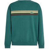 O'neill Majica rjava / temno zelena | Shoptok.si