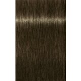 Schwarzkopf Professional IGORA Royal barva za lase odtenek 6-31 Light Brown 60 ml | Shoptok.si